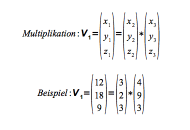 Vektormultiplikation